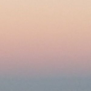 Meet your Posher, Grayson